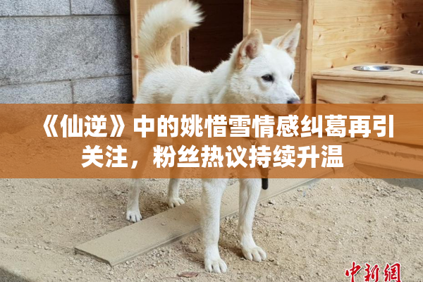 《仙逆》中的姚惜雪情感纠葛再引关注，粉丝热议持续升温