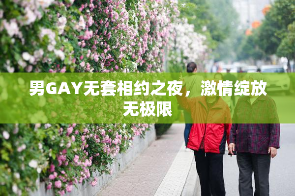 男GAY无套相约之夜，激情绽放无极限