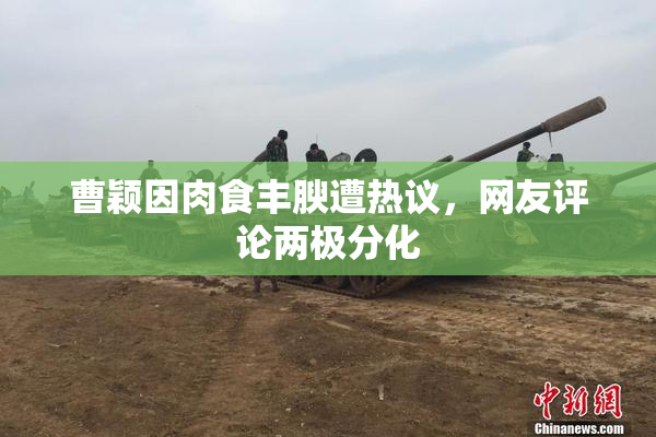 曹颖因肉食丰腴遭热议，网友评论两极分化