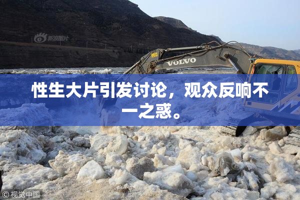 性生大片引发讨论，观众反响不一之惑。