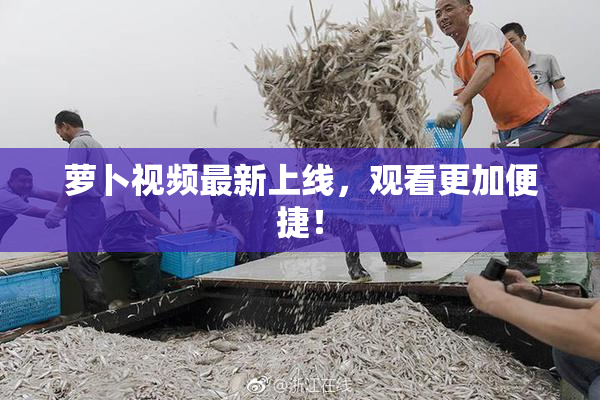 萝卜视频最新上线，观看更加便捷！