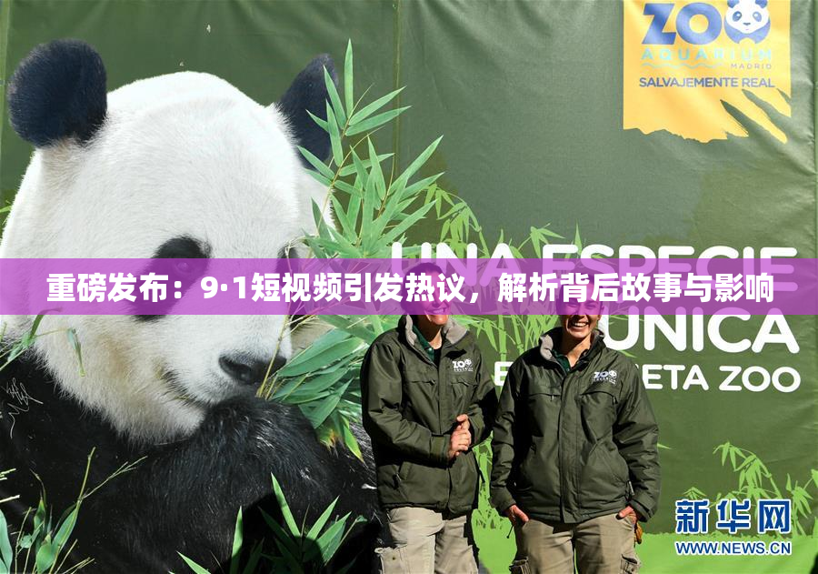 重磅发布：9·1短视频引发热议，解析背后故事与影响