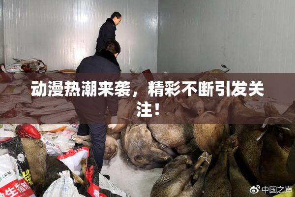 动漫热潮来袭，精彩不断引发关注！