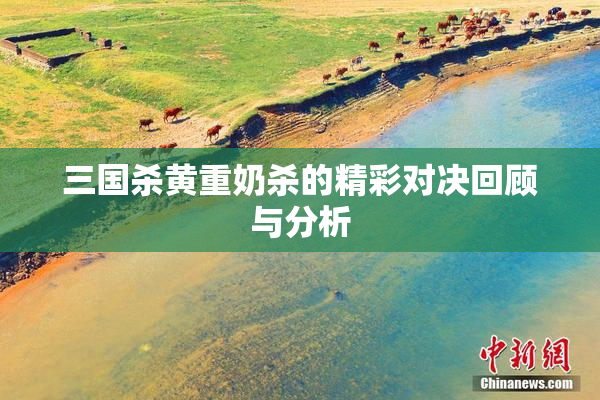三国杀黄重奶杀的精彩对决回顾与分析