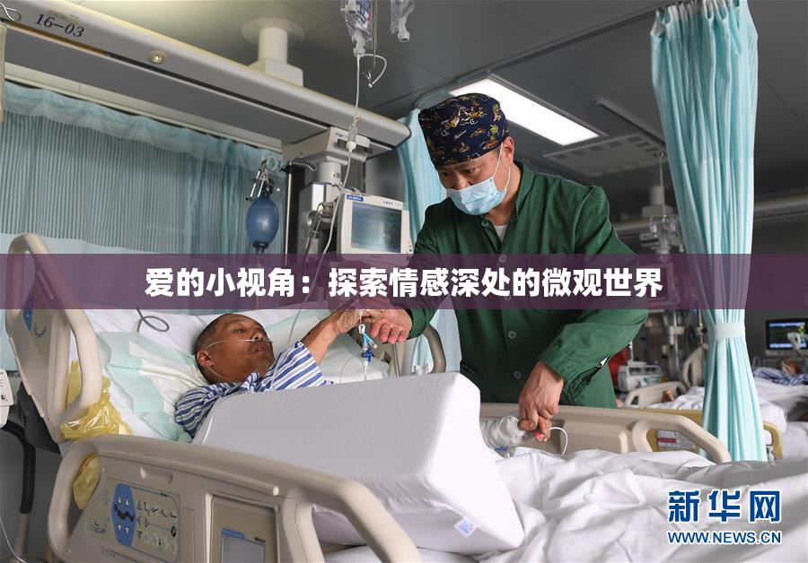 爱的小视角：探索情感深处的微观世界