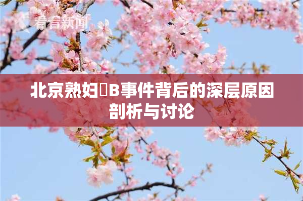 北京熟妇槡B事件背后的深层原因剖析与讨论