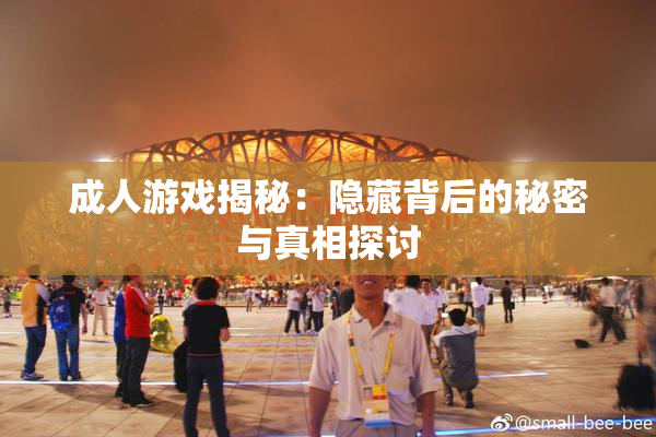 成人游戏揭秘：隐藏背后的秘密与真相探讨