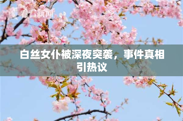 白丝女仆被深夜突袭，事件真相引热议