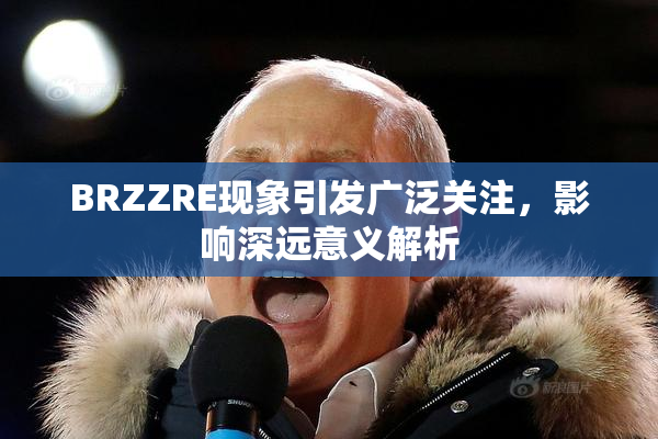 BRZZRE现象引发广泛关注，影响深远意义解析