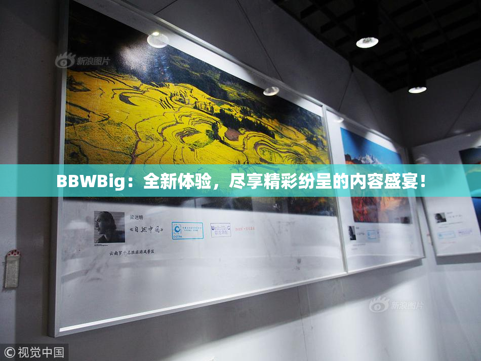 BBWBig：全新体验，尽享精彩纷呈的内容盛宴！