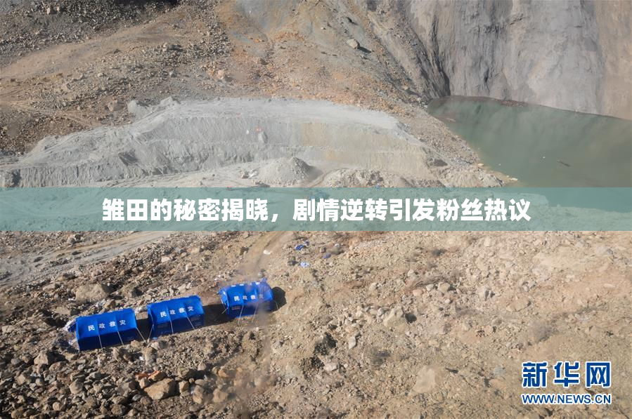 雏田的秘密揭晓，剧情逆转引发粉丝热议