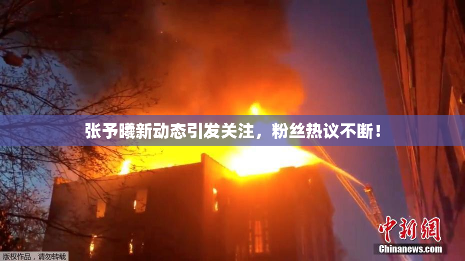 张予曦新动态引发关注，粉丝热议不断！
