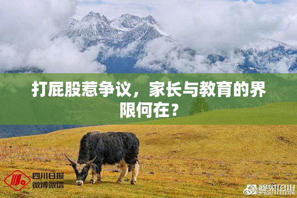 打屁股惹争议，家长与教育的界限何在？