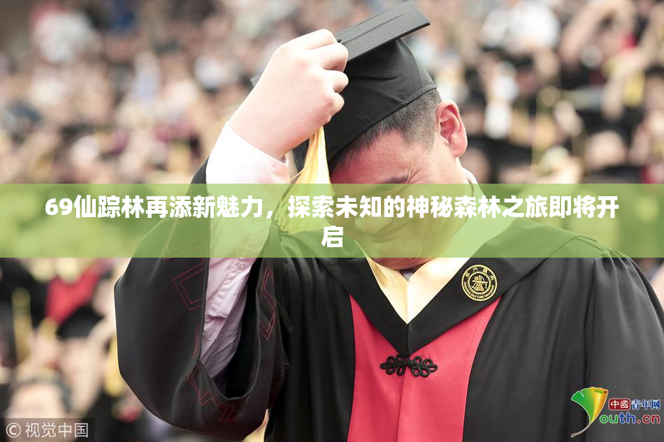 69仙踪林再添新魅力，探索未知的神秘森林之旅即将开启
