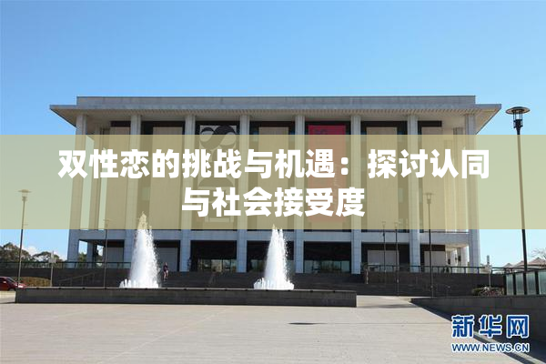 双性恋的挑战与机遇：探讨认同与社会接受度