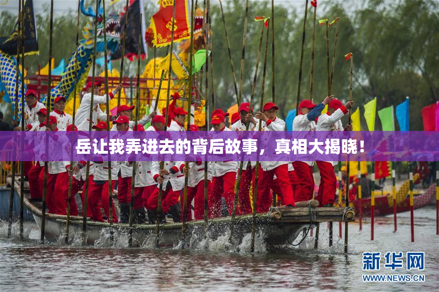 岳让我弄进去的背后故事，真相大揭晓！