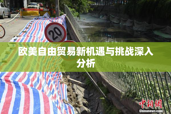 欧美自由贸易新机遇与挑战深入分析