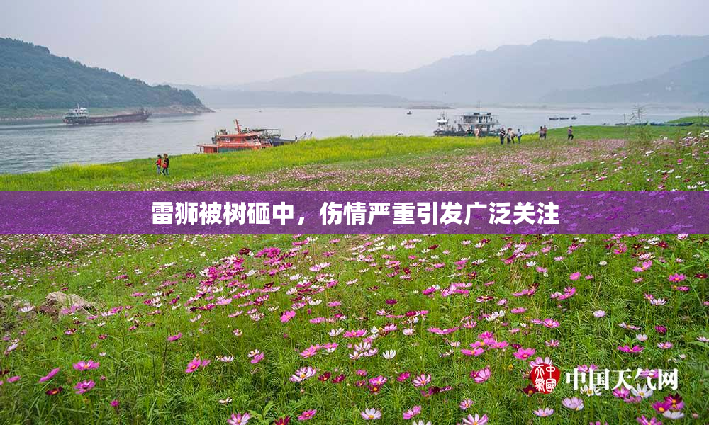 雷狮被树砸中，伤情严重引发广泛关注