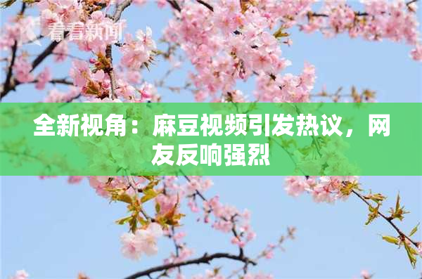全新视角：麻豆视频引发热议，网友反响强烈