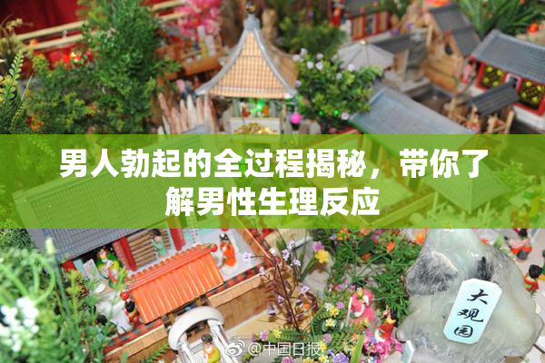 男人勃起的全过程揭秘，带你了解男性生理反应