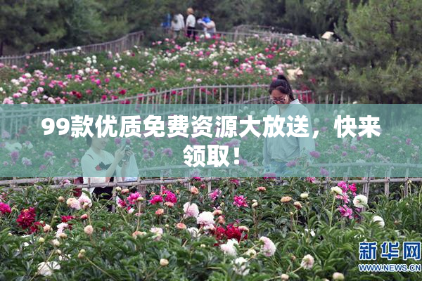 99款优质免费资源大放送，快来领取！