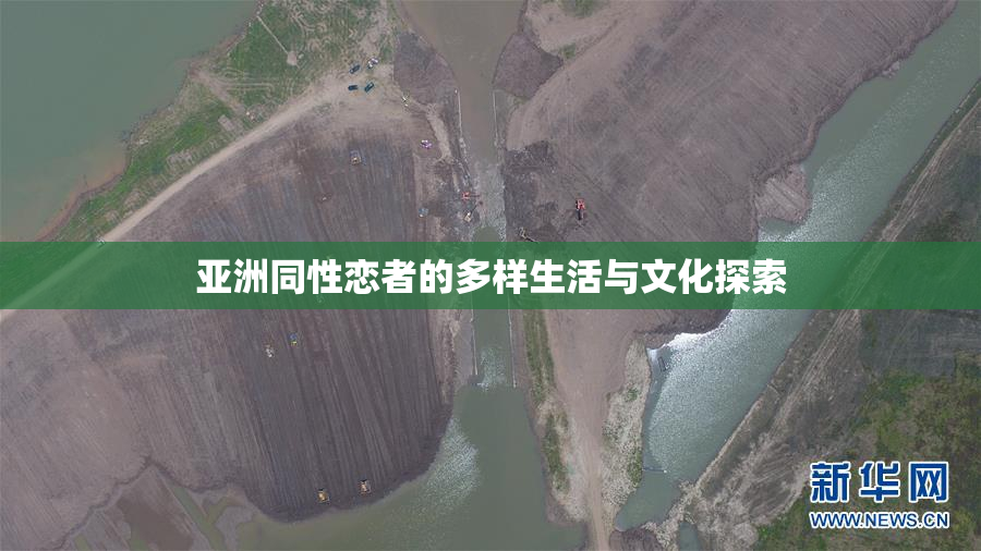 亚洲同性恋者的多样生活与文化探索