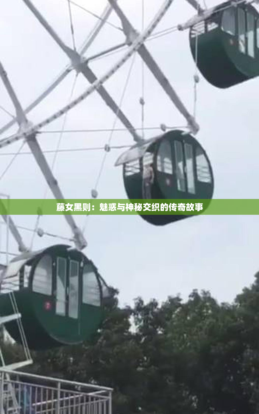 藤女黑则：魅惑与神秘交织的传奇故事