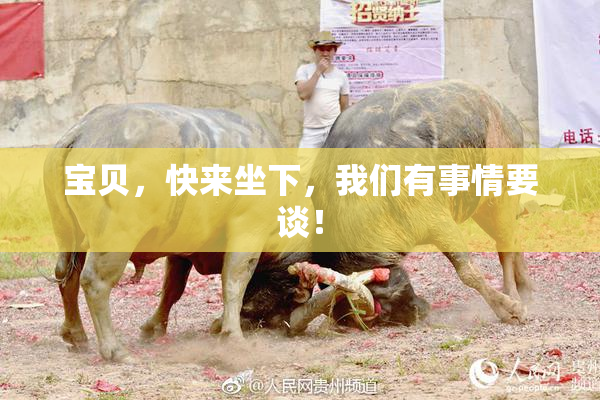 宝贝，快来坐下，我们有事情要谈！
