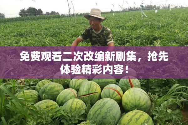 免费观看二次改编新剧集，抢先体验精彩内容！