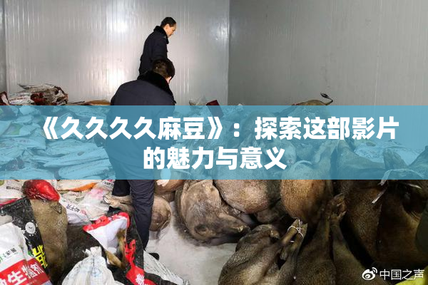 《久久久久麻豆》：探索这部影片的魅力与意义