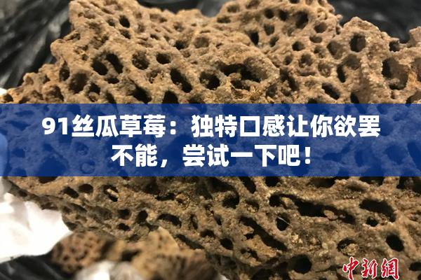 91丝瓜草莓：独特口感让你欲罢不能，尝试一下吧！