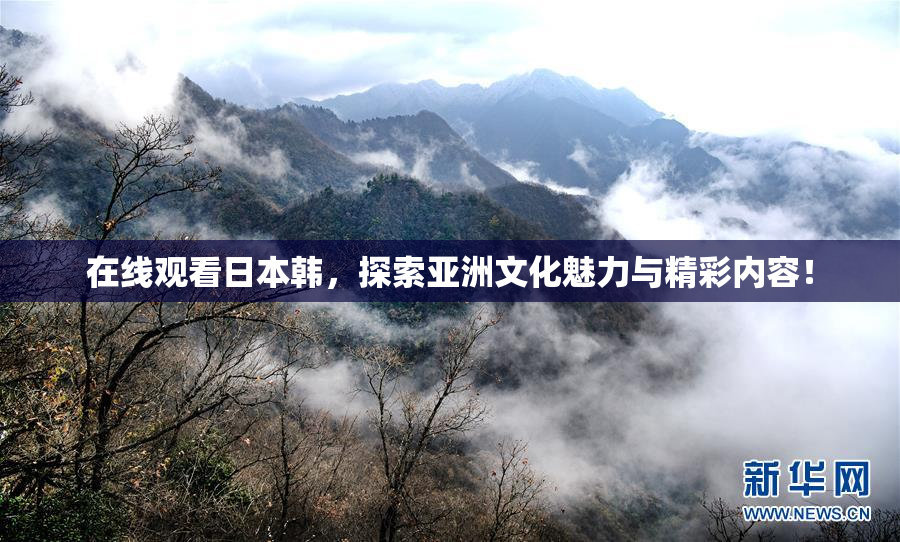 在线观看日本韩，探索亚洲文化魅力与精彩内容！