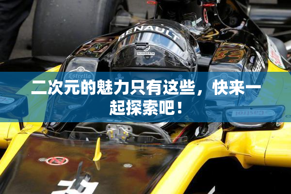 二次元的魅力只有这些，快来一起探索吧！