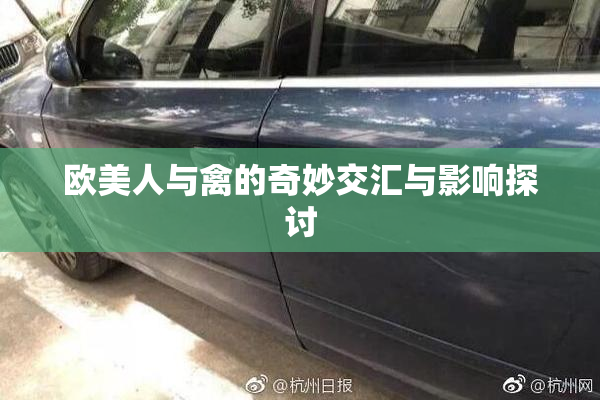 欧美人与禽的奇妙交汇与影响探讨