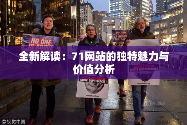 全新解读：71网站的独特魅力与价值分析