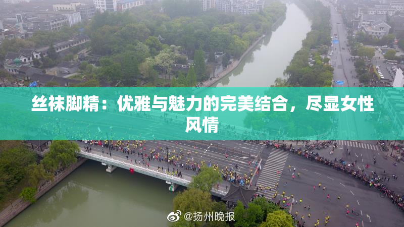 丝袜脚精：优雅与魅力的完美结合，尽显女性风情