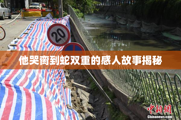 他哭脔到蛇双重的感人故事揭秘