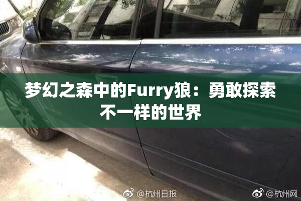 梦幻之森中的Furry狼：勇敢探索不一样的世界