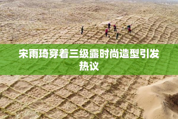 宋雨琦穿着三级露时尚造型引发热议