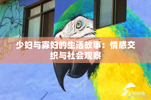 少妇与寡妇的生活故事：情感交织与社会观察