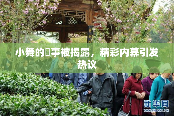 小舞的婬事被揭露，精彩内幕引发热议