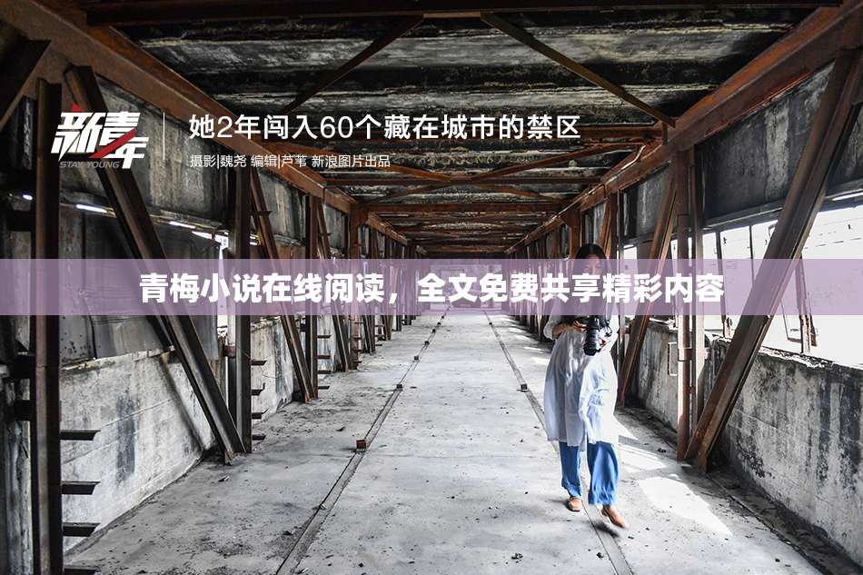 青梅小说在线阅读，全文免费共享精彩内容