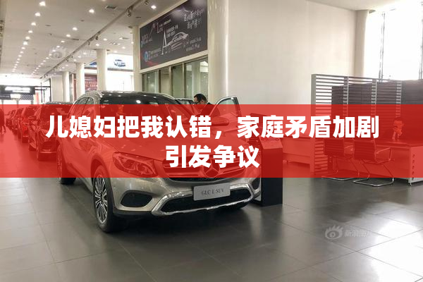 儿媳妇把我认错，家庭矛盾加剧引发争议