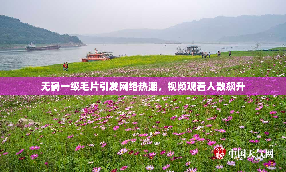 无码一级毛片引发网络热潮，视频观看人数飙升