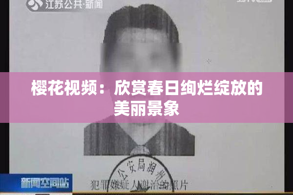 樱花视频：欣赏春日绚烂绽放的美丽景象