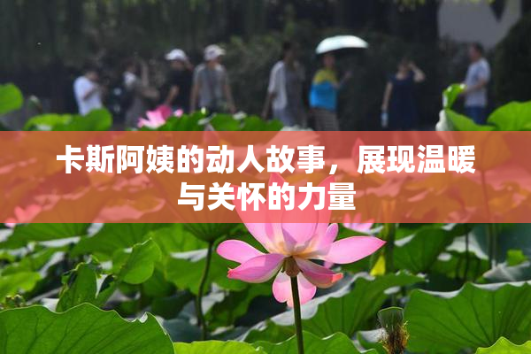 卡斯阿姨的动人故事，展现温暖与关怀的力量
