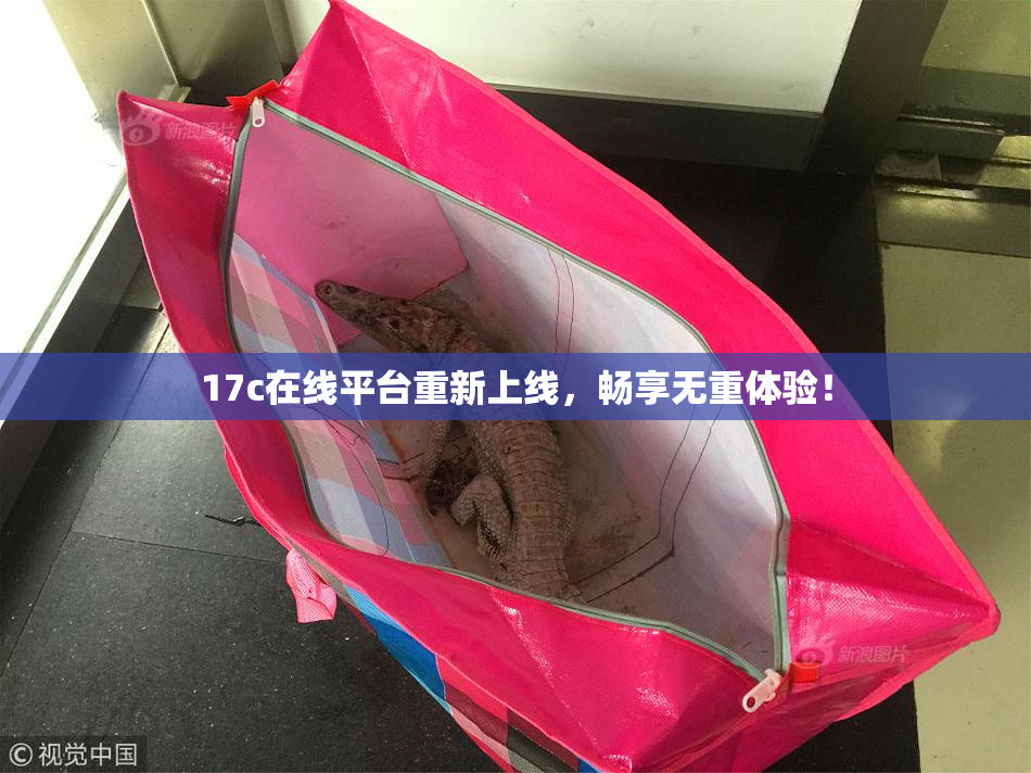 17c在线平台重新上线，畅享无重体验！