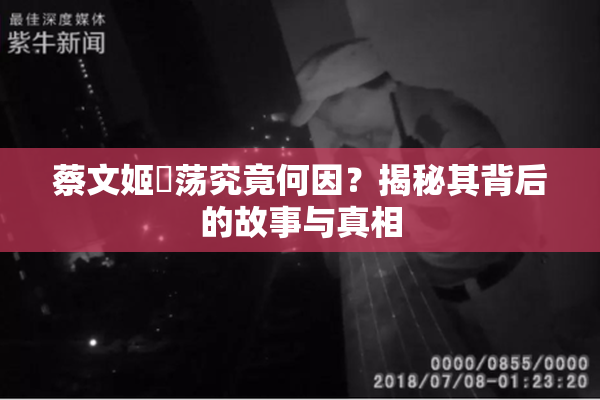 蔡文姬婬荡究竟何因？揭秘其背后的故事与真相
