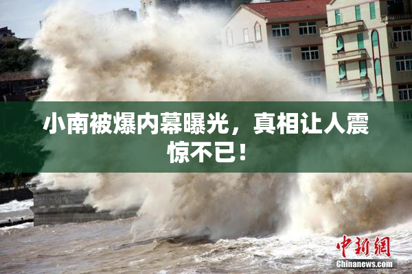 小南被爆内幕曝光，真相让人震惊不已！