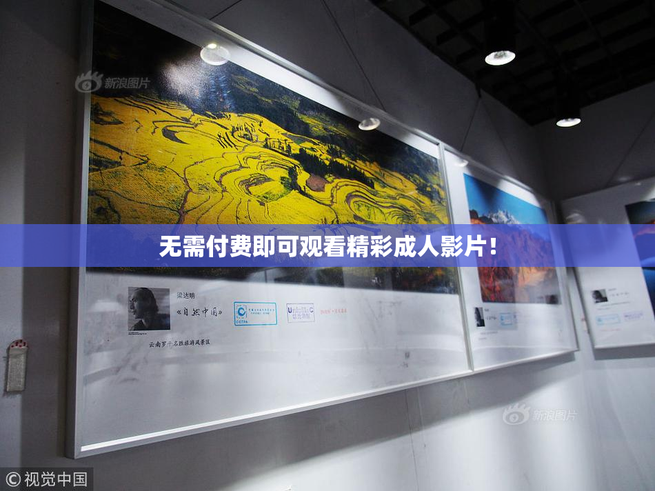 无需付费即可观看精彩成人影片！